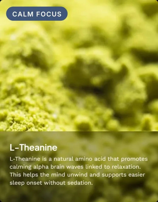 L-Theanine: an amino acid that promotes relaxation and helps the mind unwind