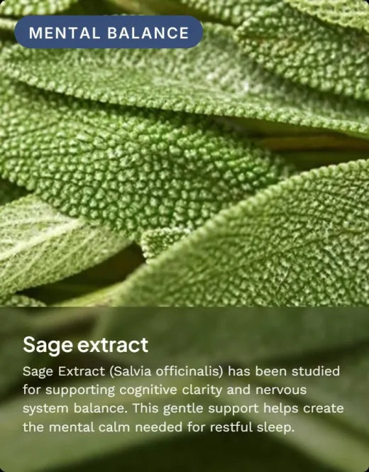 Sage extract: supports nervous system balance and mental calm
