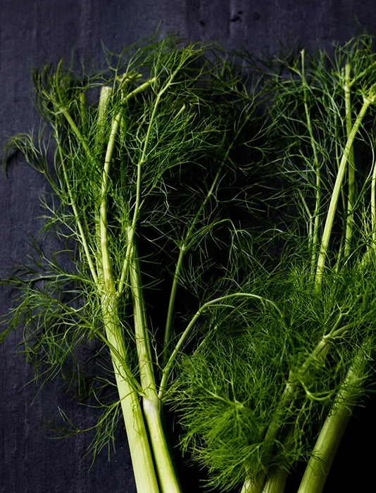 Fresh fennel, a natural ingredient in Flowever Sleep Flow