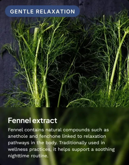 Fennel seed extract: traditionally used for a soothing nighttime routine