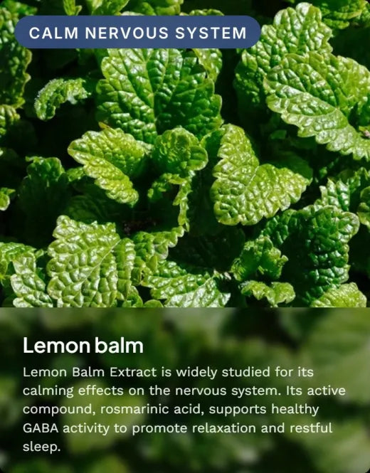 Lemon balm extract: widely studied for its calming effects on the nervous system