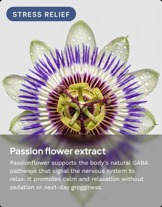 Passionflower extract: promotes calm and relaxation without next-day grogginess