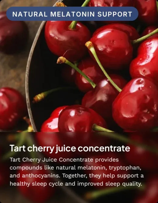 Tart cherry juice concentrate: natural compounds like melatonin precursors and anthocyanins that support a healthy sleep cycle